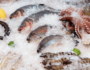 header_seafood